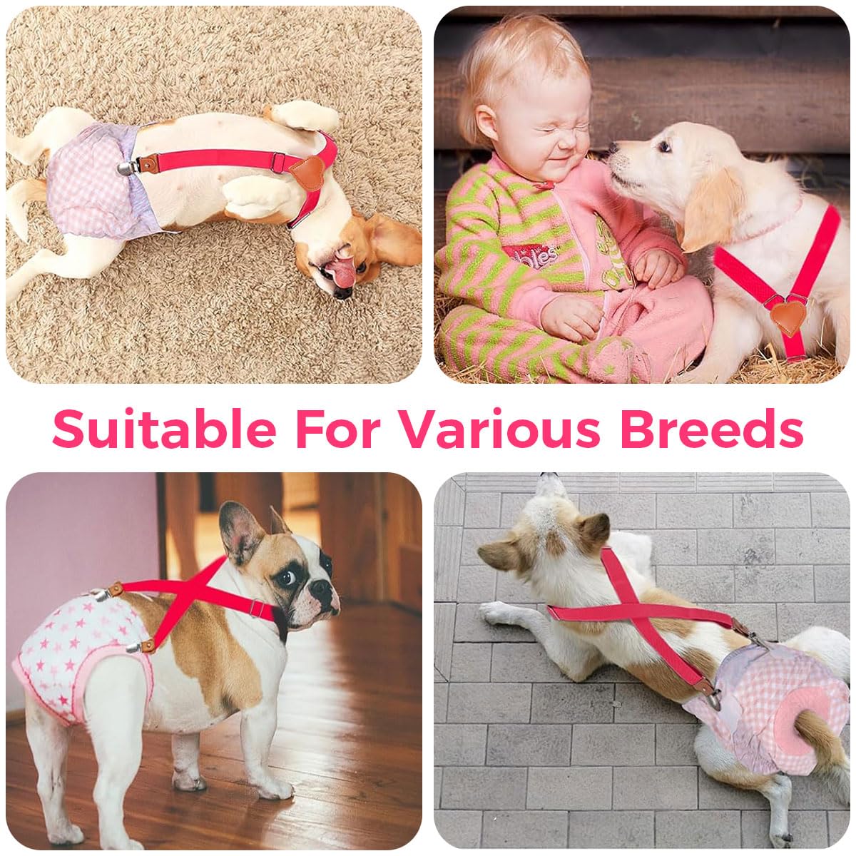 Qpets Dog Diaper Suspenders Strap for Medium Large Pets 34–65cm featuring Secure Clips and Y Shape Harness