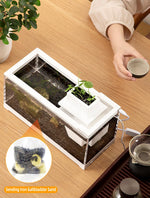 Qpets Mini Betta Fish Tank for Home or Office Decor with LED Lighting and Filtration | Clear Acrylic 30×13×15 cm