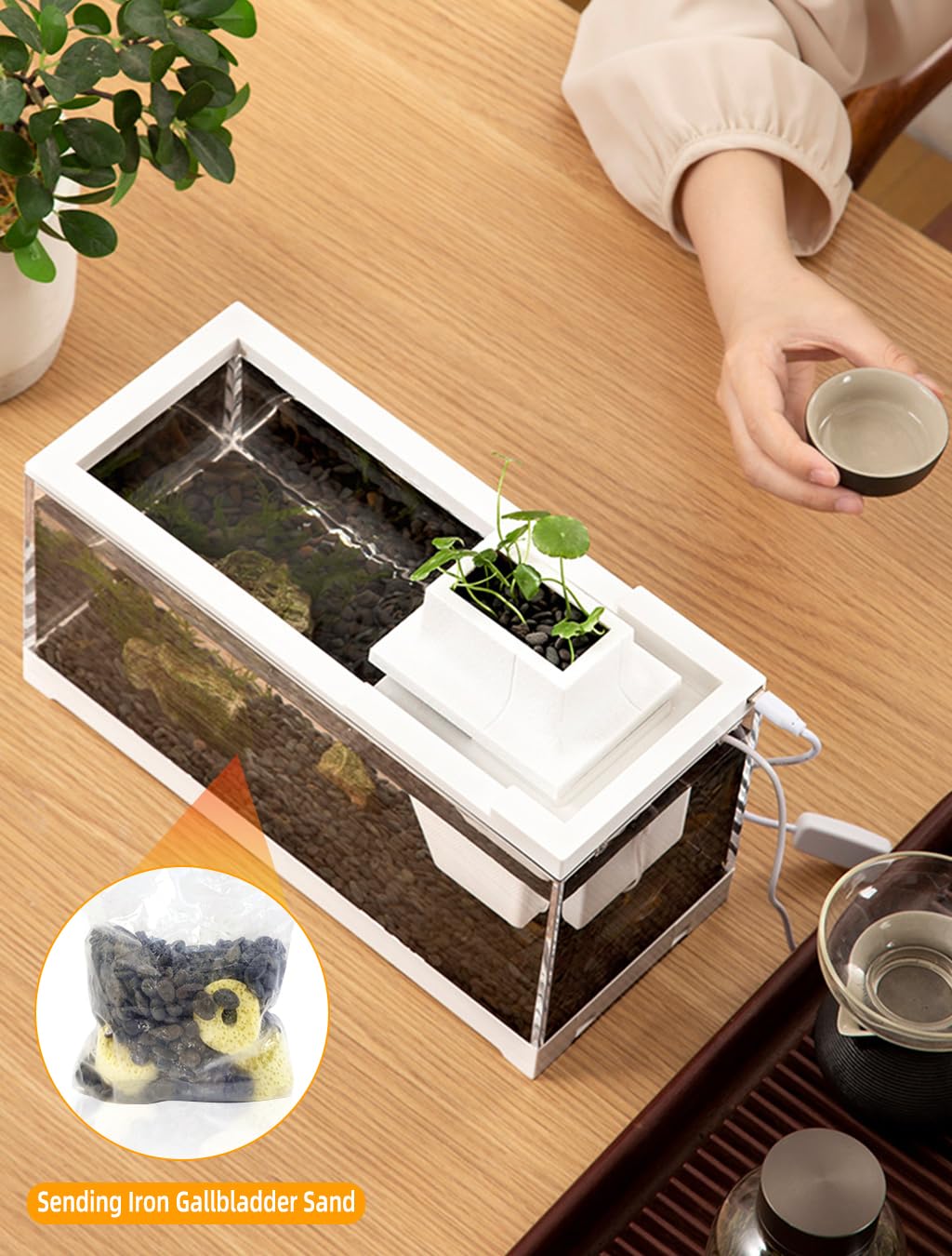 Qpets Mini Betta Fish Tank for Home or Office Decor with LED Lighting and Filtration | Clear Acrylic 30×13×15 cm