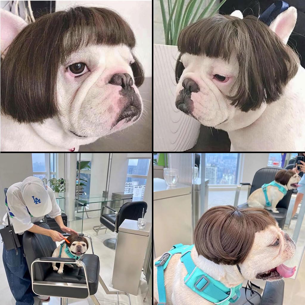 Qpets Dog Wig for Party and Festival Wear with Adjustable Chin Strap in Brown Hairpiece