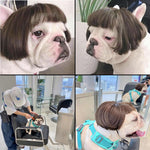 Qpets Dog Wig for Party and Festival Wear with Adjustable Chin Strap in Brown Hairpiece