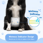 Qpets Male Dog Diaper Wraps, 12 Pack, Absorbent, Breathable Leak Protection, Size L