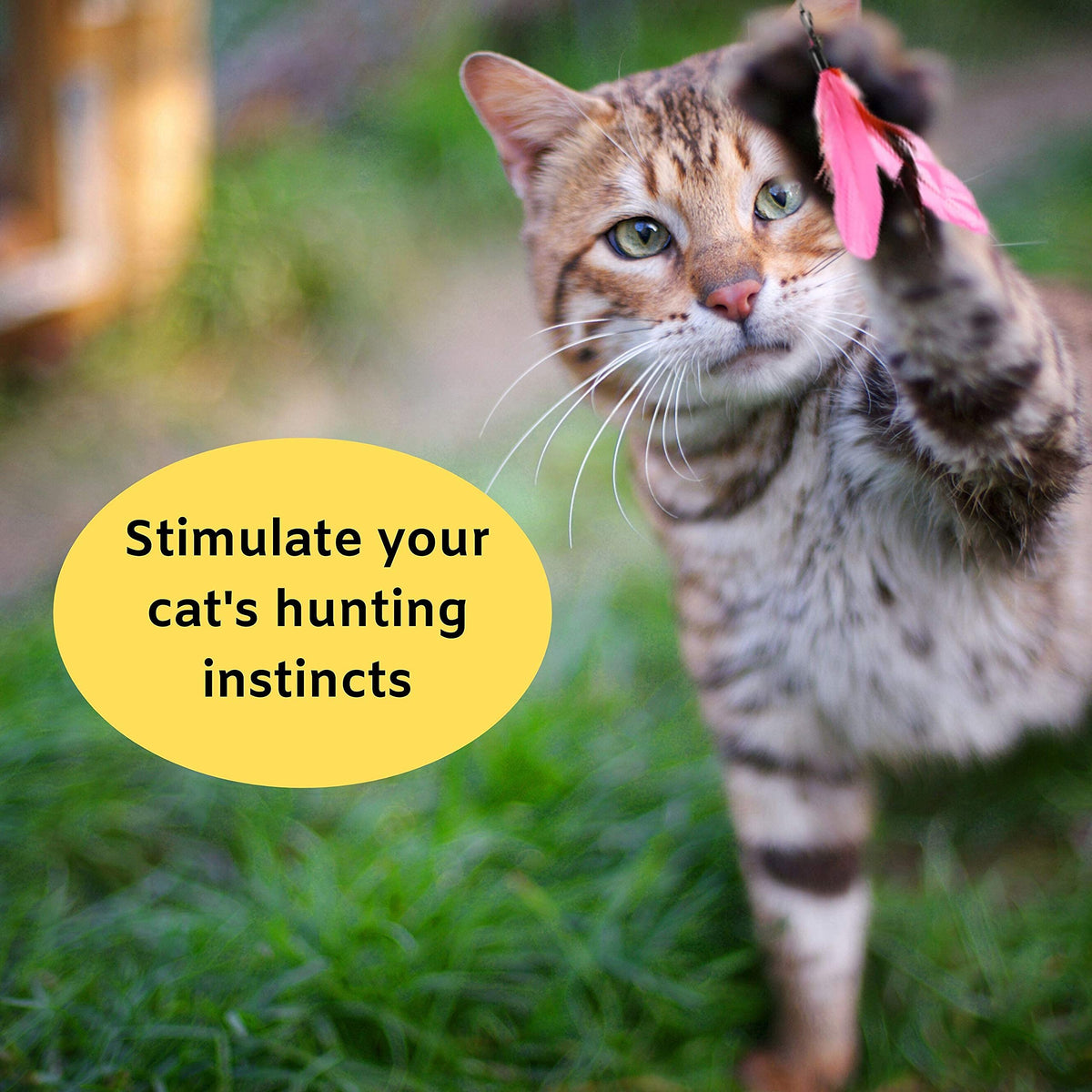 Qpets Cat Interactive Toys Set for Indoor Play with 10 Feather Attachments | Retractable Teaser Wand and Bells for Kittens