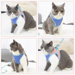 Cat Harness with 1.5m Leash, Cat Belt Adjustable Size Breathable Cat Vest Strap with Safety Reflective Strip, Cat Leash with Harness for Small Cat and Dog (M, Blue)