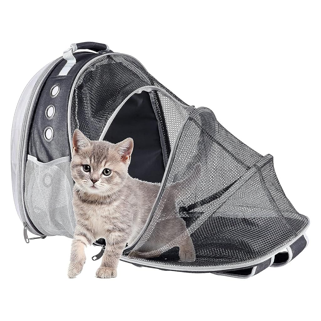 Qpets® Side Door Design Cat Carrier Backpack, Expandable Cat Dog Backpack Carrier Bag, Transparent Capsule Air Breathable Transparent Carrier Backpack for Travelling, Ourdoor