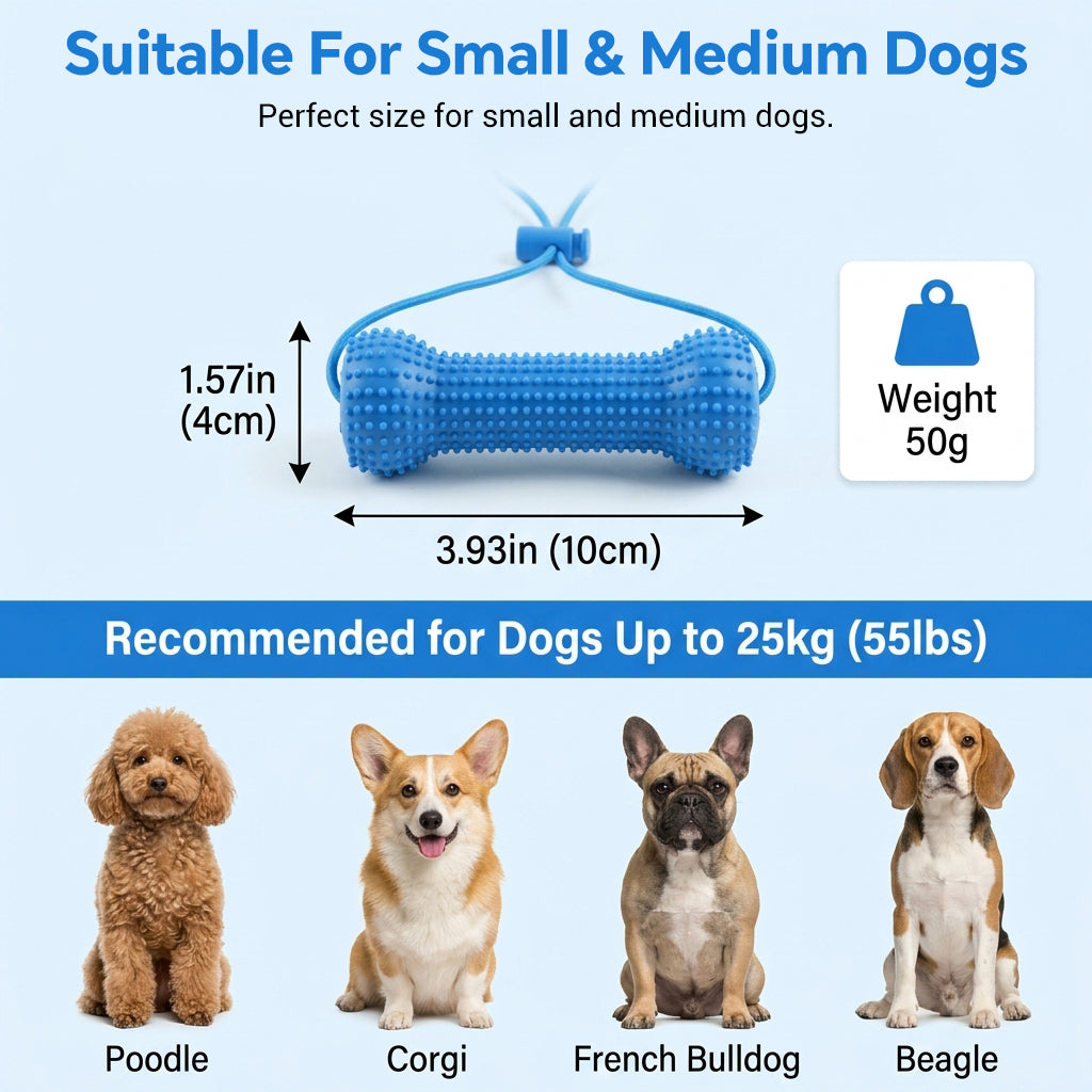 Qpets Dog Dental Chew Prop for Small and Medium Dogs, TPR Aid for Guided Brushing