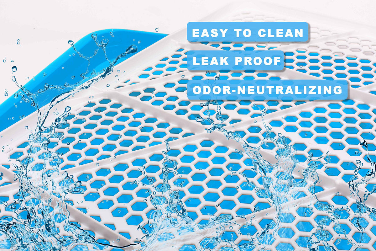 Qpets Dog Potty Tray for Indoor Training featuring Removable Mesh Grate and 19.7x14.2in Plastic Design | Blue