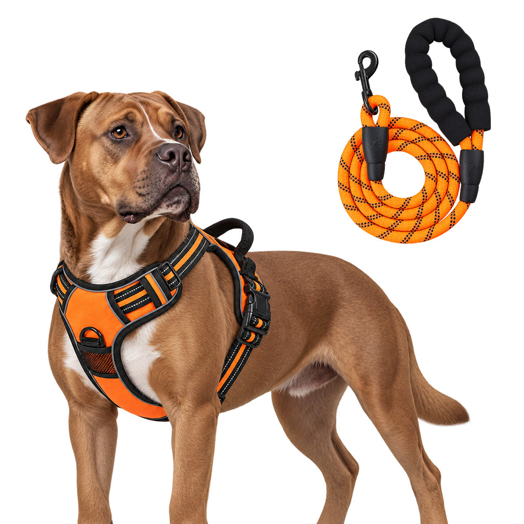 Qpets Size L Dog Harness with Adjustable Chest Fit, Reflective Strips and 1.5 m Leash