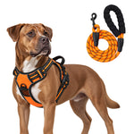 Qpets Size L Dog Harness with Adjustable Chest Fit, Reflective Strips and 1.5 m Leash