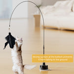 Qpets® Interactive Cat Toy
