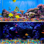 Qpets® Aquarium Mini Resin Ornaments Glow-in-The-Dark Ocean Creature Ornaments, Luminous Aquarium Fish Tank Decorations, Illuminated Resin Decor for Planter and Home Display