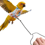 Qpets® Bird Harness and Leash Set for Parrots, Adjustable Escape-Proof Shoulder Strap Parrot Harness with Hook & Loop, 51 Inch Elastic Training Cord - Safe Flight Suit for Small Medium Birds, L