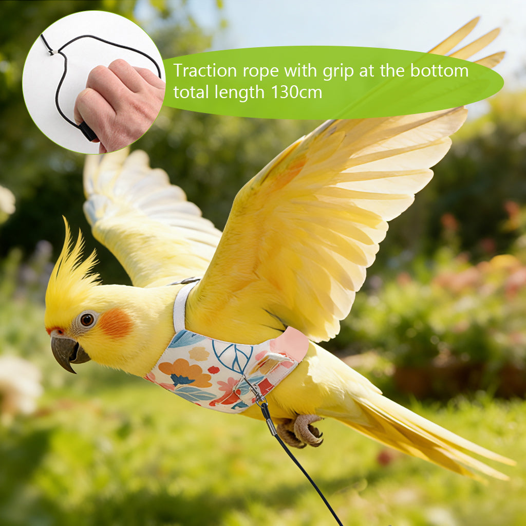 Qpets® Bird Harness and Leash Set for Parrots, Adjustable Escape-Proof Shoulder Strap Parrot Harness with Hook & Loop, 51 Inch Elastic Training Cord - Safe Flight Suit for Small Medium Birds, M