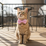 Qpets® Cat Collar with Bell, Adjustable 23-33 cm Kitten Collar for Small Cats & Pets - Soft Cotton Plaid Bow Design, Quick Release Safety Buckle, Lightweight & Breakaway Necklace Accessory (Pink)