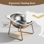 Qpets® Raised Cat Bowl with Stand, SUS304 Stainless Steel Cat and Dog Food Bowl Removable Pet Food and Water Bowl 15 Degree Tilting Angle, Non Slip Pet-Friendly Feeding Bowl for Cats and Small Dogs