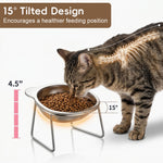 Qpets® Raised Cat Bowl with Stand, SUS304 Stainless Steel Cat and Dog Food Bowl Removable Pet Food and Water Bowl 15 Degree Tilting Angle, Non Slip Pet-Friendly Feeding Bowl for Cats and Small Dogs