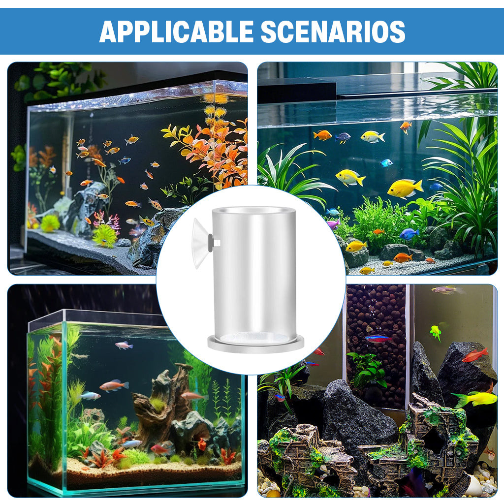 Qpets® Fish Food Feeder, Acrylic Transparent Shrimp Feeding Tube Suction Cup Tank Bowl Small Betta Food Dispenser for Fish Tanks, Shrimp Tanks-Transparent