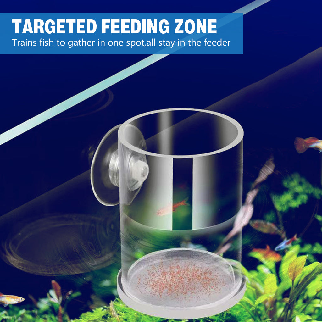 Qpets® Fish Food Feeder, Acrylic Transparent Shrimp Feeding Tube Suction Cup Tank Bowl Small Betta Food Dispenser for Fish Tanks, Shrimp Tanks-Transparent