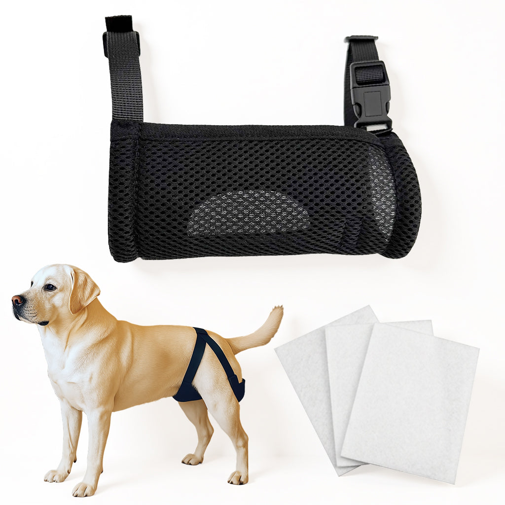 Qpets® Female Dog Diaper Wrap with 3 Pads, Breathable Mesh Female Dogs Diapers Reusable Doggy Diapers Tail-Friendly Design, Quick Release Buckle Adjustable Straps, for Heat Cycle Incontinence Train XL