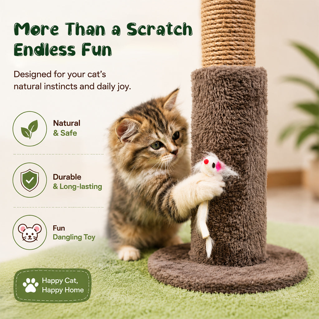 Qpets® Cat Scratching Post for Indoor Cats and Kitten - 35.43" Tall Scratching Post with Sisal Rope, Palm Tree Scratch with Hanging Ball-Brown