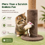 Qpets® Cat Scratching Post for Indoor Cats and Kitten - 35.43" Tall Scratching Post with Sisal Rope, Palm Tree Scratch with Hanging Ball-Brown