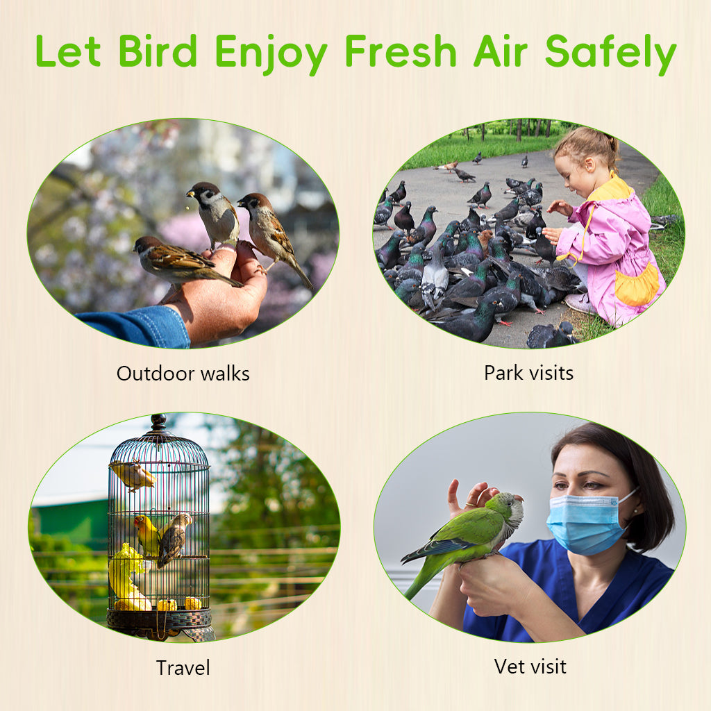 Qpets® Parrot Travel Cage - Escape-Proof Vest Harness | Bird Carrier with Handle Parakeet Travel | Escape-Proof Outdoor Vests for Cockatiel Parakeet Finch Outdoor Indoor Walking Park Garden-Blue-L