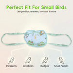 Qpets® Parrot Travel Cage - Escape-Proof Vest Harness | Bird Carrier with Handle Parakeet Travel | Escape-Proof Outdoor Vests for Cockatiel Parakeet Finch Outdoor Indoor Walking Park Garden-Blue-L