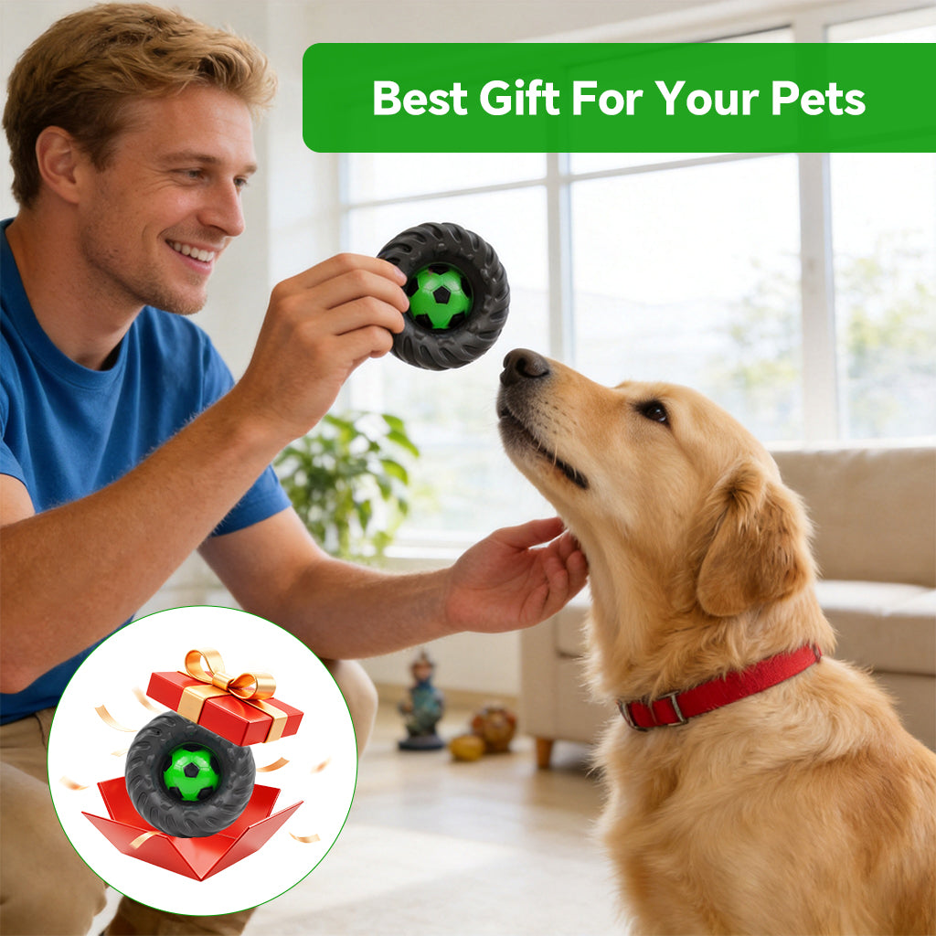 Qpets® Football Tire with Built in Squeaker Bite Resistant Vinyl Chew Play Item for Small and Medium Dogs Interactive Fetch and Teething Play