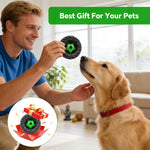 Qpets® Football Tire with Built in Squeaker Bite Resistant Vinyl Chew Play Item for Small and Medium Dogs Interactive Fetch and Teething Play