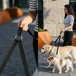 Qpets Double Dog Leash Split Lead with No-Tangle Swivel, Adjustable Length and Reflective Stitching