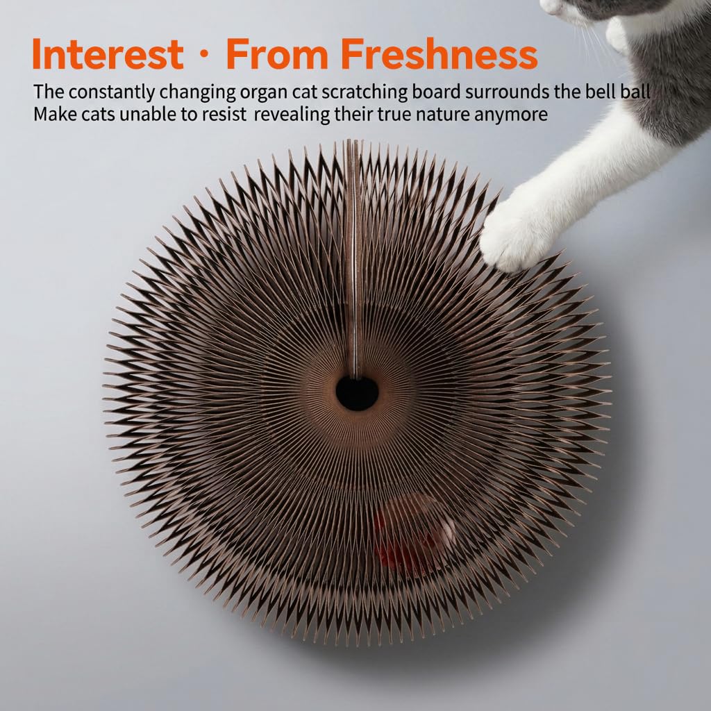 Qpets Kitty Curls Cat Scratcher Board with Track Ball and Flexible Accordion Design for Indoor Cats