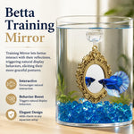 Qpets Betta Fish Floating Mirror Tank Decor with PVC Frame, Glass Mirror and Tool-Free Setup