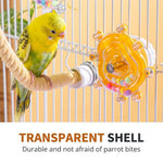 Qpets Bird Foraging Spin Wheel with Smooth Rotation for Parakeets, Cockatiels and Conures