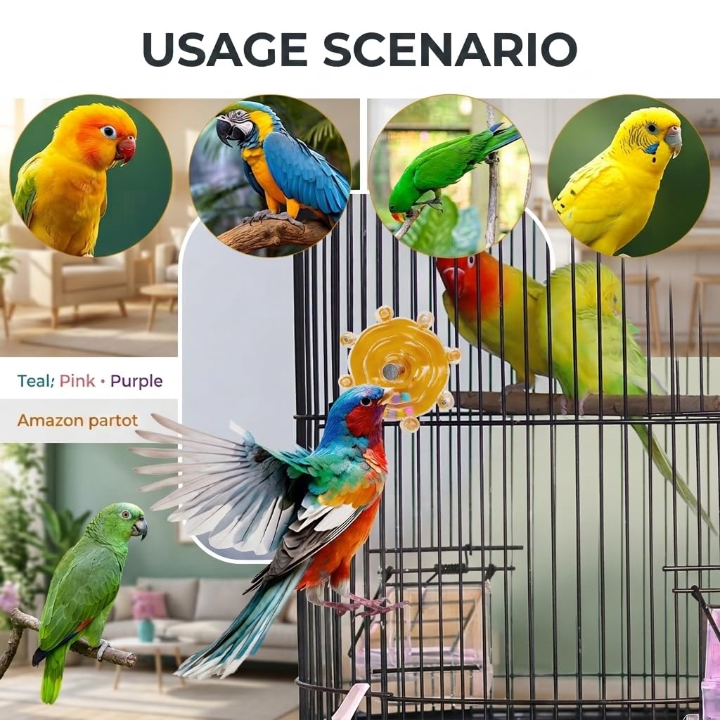 Qpets Bird Foraging Spin Wheel with Smooth Rotation for Parakeets, Cockatiels and Conures