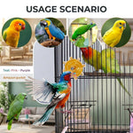 Qpets Bird Foraging Spin Wheel with Smooth Rotation for Parakeets, Cockatiels and Conures