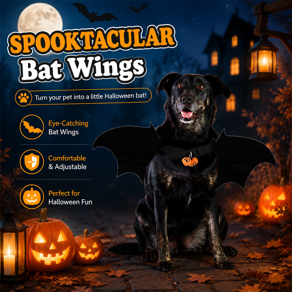 Qpets Bat Wing Costume for Cats and Small Dogs, Size L, 5mm Felt, Bell and Adjustable Straps