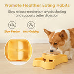 Qpets Interactive Dog and Cat Treat Dispenser Puzzle Feeder for Slow Eating and Enrichment Play