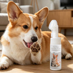 Qpets Dog Paw Cleaner Foam with Silicone Brush | No Rinse Pet Paw Cleanser for Dogs & Cats