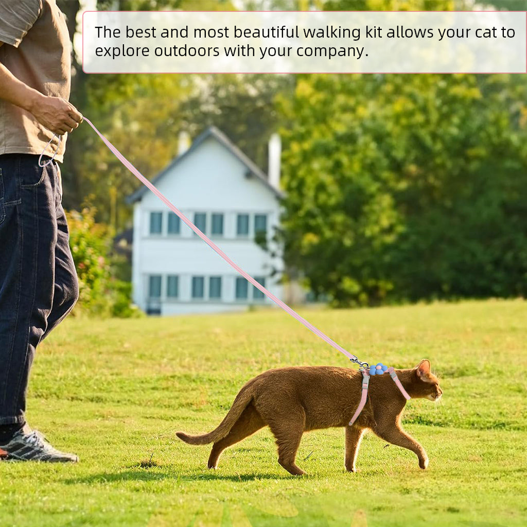 Qpets® Cat Harness with Leash, Cat Harness and Leash Set for Small Cats with Quick Release Buckle, Escape-Proof Cute Flower Cat Belt for Outdoor Walking & Travel (M, Chest 27-43cm, Neck 23-33cm)