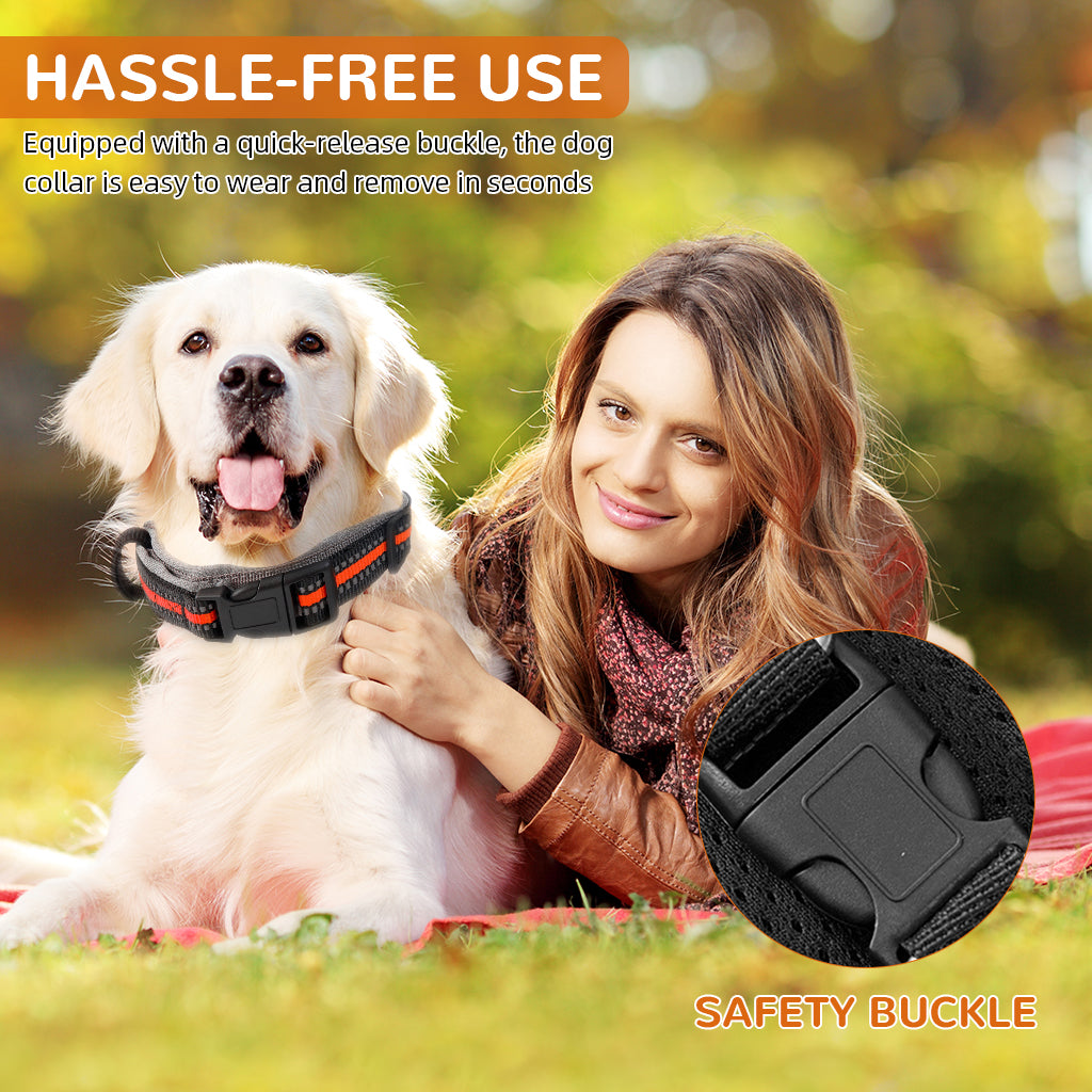 Qpets® Dog Collar 2 in 1 Adjustable Dog Collar with 1.5 Meters Retractable Pull Handle Intergrated Dog Leash Dog Collar Night Safety Reflective Dog Collar for Medium /Large Dog, Suitable for 25-45kg