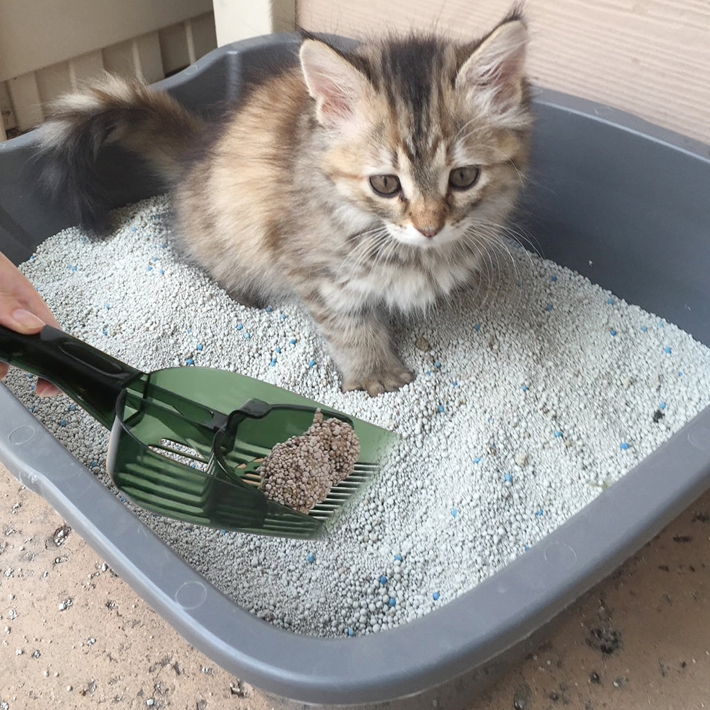 Qpets® Cat Litter Scoop, Plastic Cat Litter Scoop Retractable Push Shovel Design Cat Litter Scoop Sieve Cat Litter Cleaning Scoop