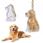 Qpets Dog Fur Keepsake Pendant in Clear Plastic with Secure Metal Ring Clasp for Daily Carry