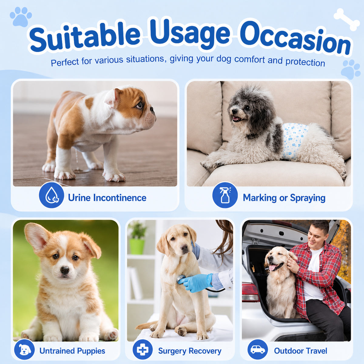 Qpets Male Dog Diaper Wraps, 12 Pack, Absorbent, Breathable Leak Protection, Size L