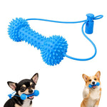 Qpets Dog Dental Chew Prop for Small and Medium Dogs, TPR Aid for Guided Brushing