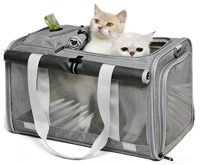 Qpets Cat and Small Dog Carrier Bag with Five-Side Mesh, Foldable Storage and Adjustable Strap