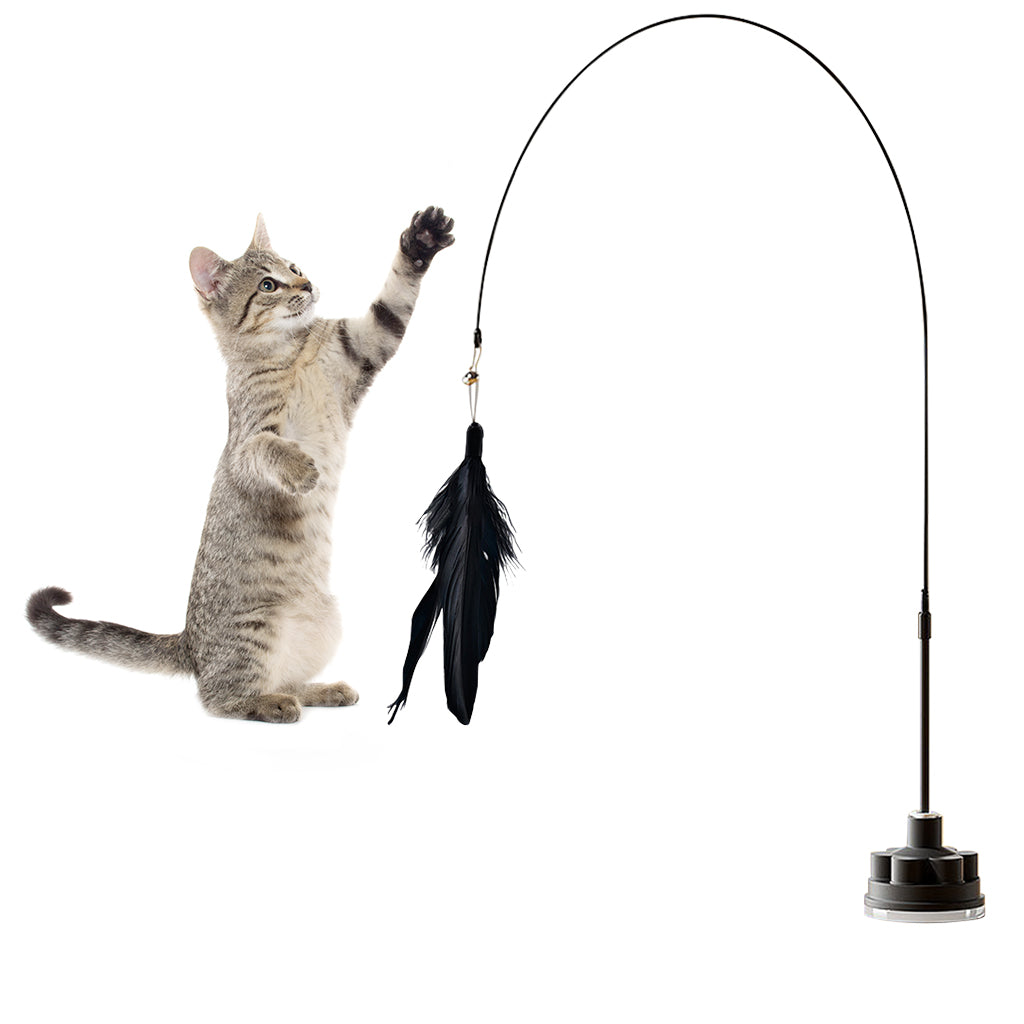Qpets® Interactive Cat Toy