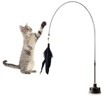 Qpets® Interactive Cat Toy
