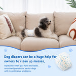 Qpets Male Dog Diaper Wraps, 12 Pack, Absorbent, Breathable Leak Protection, Size L