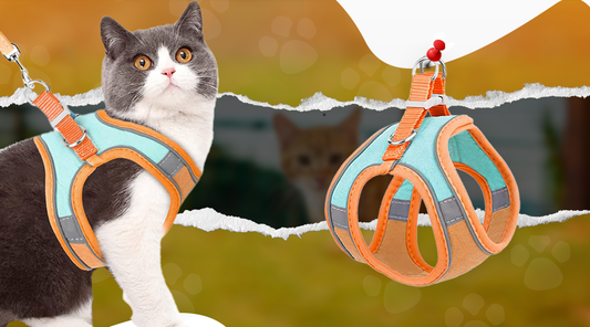 Qpets® Cat Harness with Cat Leash for Walking