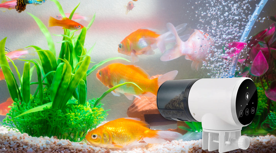 Qpets Plastic 3 Way Automatic Fish Feeder for Aquarium